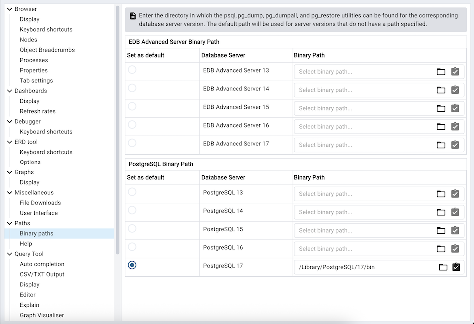Preferences binary path section
